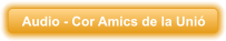Audio - Cor Amics de la Uni�