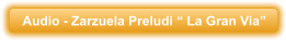 Audio - Zarzuela Preludi � La Gran Via�