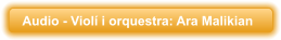 Audio - Viol� i orquestra: Ara Malikian