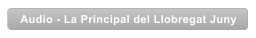 Audio - La Principal del Llobregat Juny