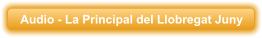 Audio - La Principal del Llobregat Juny